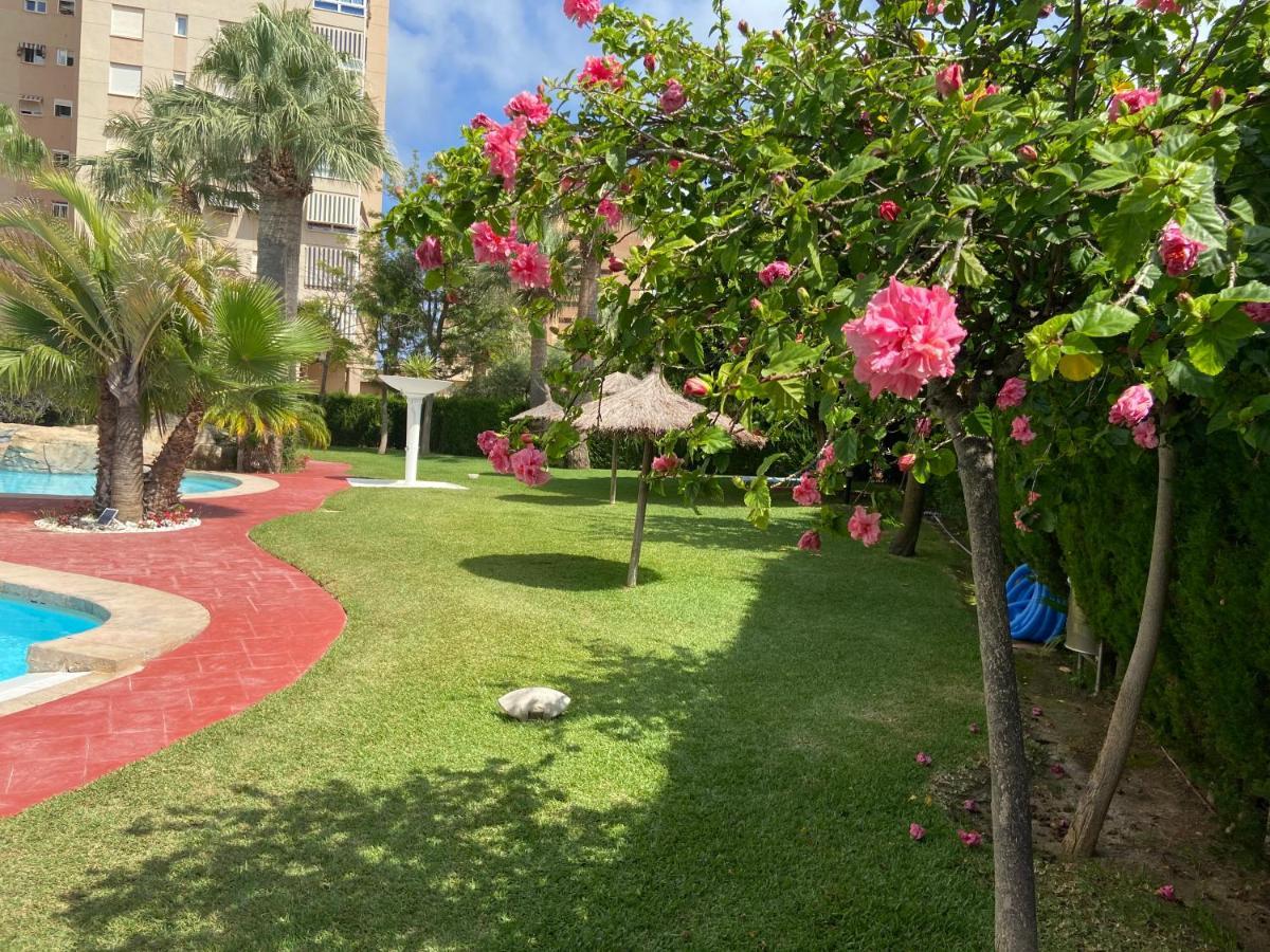 La Venteta Alicante Apartamento En La Playa Muchavista-San Juan - Marluma Frente Al Mar מראה חיצוני תמונה